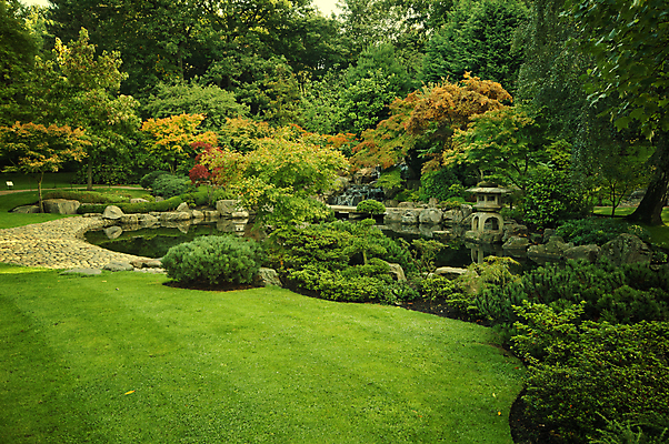 포토 JPG 해외이미지 나무 디자인 공원 잎 자연 영국 잉글랜드 사람없음 물 폭포 등불 연못 런던 해외202004 해외포토 자연요소 식물 공공시설 유럽 조명 생태계 파일형식 이미지허브