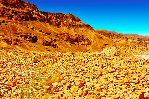포토 JPG 해외이미지 도로 모래 여행 자연 하늘 산 건조 풍경 사람없음 여름 파란색 햇빛 골짜기 사막 바위 시골 뜨거움 황무지 중앙 위험 그늘 땅 지중해 언덕 부식 먼지 신성 지역 가뭄 동쪽 땅바닥 생태학 서쪽 이스라엘 팔레스타인 해외202004 해외포토 계절 교육 길 바다 컬러 컨셉 중동 교통시설 날씨 바닥 태양 돌_바위 방향 생태계 서아시아 파일형식 이미지허브