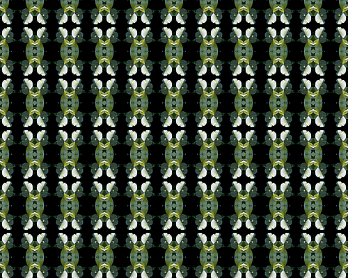 포토 JPG 해외이미지 모양 디자인 꽃 종이 벽 백그라운드 잎 꽃무늬 패턴 곡선 일러스트 자연 벽지 프레임 형상 미술 사람없음 그래픽 장식 컴퓨터 골동품 소용돌이 직물 화려 고급 우아함 실크 두루마리 가득함 그림 질감 복고 정사각형 구식 바로크 빅토리아 엘리먼트 옛날 회복 스타일 해외202004 해외포토 도형 식물 선 컨셉 무늬 문화예술 전자제품 회오리 생태계 파일형식 이미지허브