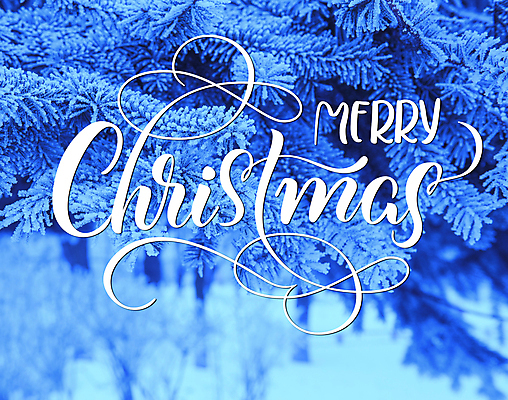 포토 JPG 해외이미지 백그라운드 크리스마스 나뭇잎 사람없음 파란색 레터링 해외202004 해외포토 기념일 컬러 잎 파일형식 이미지허브