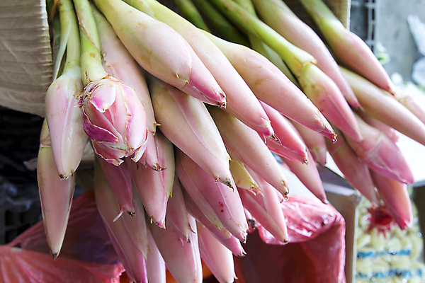 포토 JPG 해외이미지 나무 식물 꽃 음식 분홍색 태국 바나나 요리 동양인 사람없음 젖음 벚꽃 시장 성분 말레이시아 싱가폴 해외202004 해외포토 아시아 컬러 과일 인종 파일형식 이미지허브