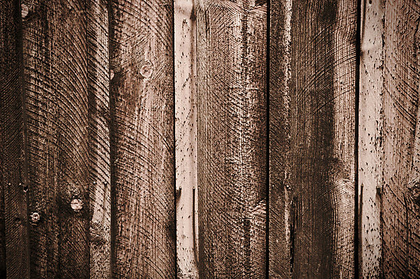 포토 JPG 해외이미지 디자인 벽 백그라운드 패턴 자연 벽지 표면 추상 바닥 사람없음 목재 갈색 어둠 줄무늬 수확 소나무 판넬 닫기 널 묘사 질감 복고 호두 먼지 목공예 잡동사니 수목 엘리먼트 옛날 해외202004 해외포토 나무 컬러 무늬 농업 재료 모션 견과류 공예 생태계 파일형식 이미지허브