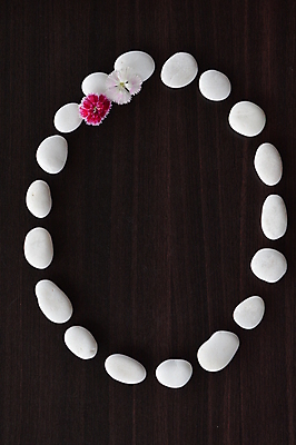 포토 JPG 해외이미지 꽃 백그라운드 프레임 사람없음 조약돌 흰색 원형 뼈대 해외202004 해외포토 도형 식물 컬러 돌_바위 파일형식 이미지허브