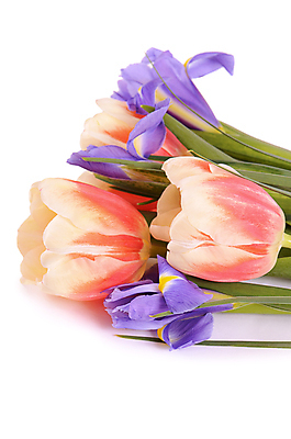 포토 JPG 해외이미지 식물 디자인 꽃잎 꽃 줄기 분홍색 꽃다발 백그라운드 잎 꽃무늬 자연 휴가 부활절 발렌타인데이 3 선물 사랑 사람없음 초록색 파란색 머리 정원 봄 튤립 벚꽃 흰색 축하 신선 오픈 자르기 다발 배열 심볼 내추럴 고립 파스텔톤 해외202004 해외포토 계절 기념일 감정 컬러 컨셉 무늬 모션 데이이벤트 신체부위 생태계 파일형식 이미지허브