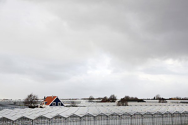 포토 JPG 해외이미지 식물 문화 농업 건축양식 자연 유리 주택 사람없음 초록색 성장 뜨거움 수분 철 네덜란드 원예 온도 내추럴 온실 해외202004 해외포토 건축 유럽 산업 컬러 재질 취미 건물 생태계 파일형식 이미지허브