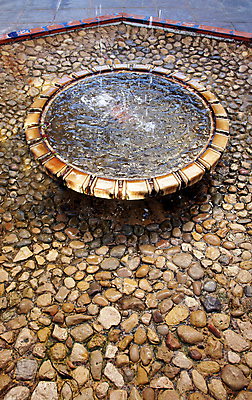 포토 JPG 해외이미지 나무 식물 디자인 공원 꽃 유럽 지구 호수 여행 백그라운드 잎 건축양식 자연 휴식 선인장 손바닥 풍경 사람없음 초록색 물 반사 환경 정원 산책 폭포 역사 스페인 숲 지중해 분수 생태계 조경 생태학 알리칸테 이국적 해외202004 해외포토 자연요소 손 공공시설 교육 건축 나라 바다 컬러 컨셉 파일형식 이미지허브