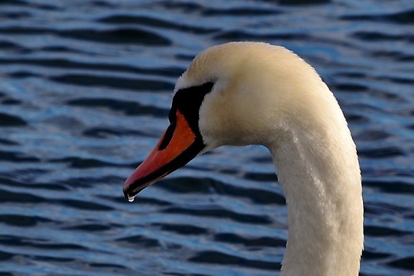 포토 JPG 해외이미지 사람없음 해외202004 해외포토 파일형식 이미지허브