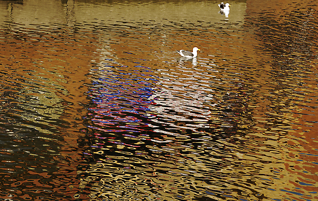 포토 JPG 해외이미지 호수 파도 바다 백그라운드 패턴 자연 표면 추상 불꽃 수영장 사람없음 빨간색 물 파란색 반짝임 컬러풀 반사 평화 수영 젖음 흰색 신선 액체 황금 질감 7월 내추럴 잔물결 해외202004 해외포토 자연요소 물결 컬러 컨셉 무늬 모션 불 수상스포츠 날짜 생태계 파일형식 이미지허브