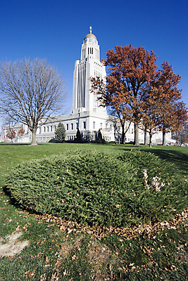 포토 JPG 해외이미지 나무 여행 건축양식 하늘 사람없음 건물 파란색 미국 법원 천연기념물 명승지 정부 해외202004 해외포토 식물 건축물 건축 컬러 북아메리카 풍경 파일형식 이미지허브