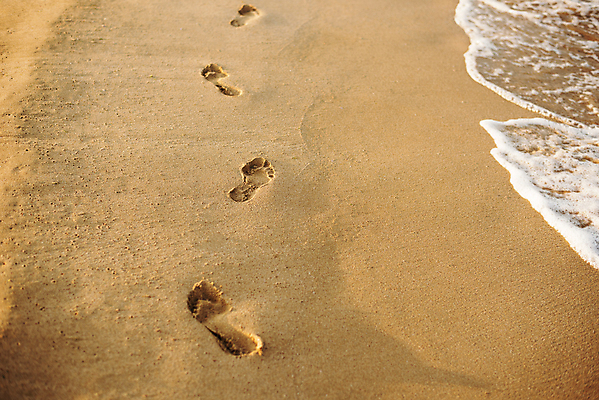 포토 JPG 해외이미지 길 모래 파도 바다 여행 백그라운드 자국 맨발 자연 휴가 휴식 풍경 사람없음 야외 물 여름 모래사장 태양 여행객 평화 맑음 산책 자유 고독 인쇄 발자국 흔적 검색 단계 내추럴 방법 선로 양발 각인 해외202004 해외포토 자연요소 계절 감정 컨셉 발 날씨 사람 생태계 파일형식 이미지허브