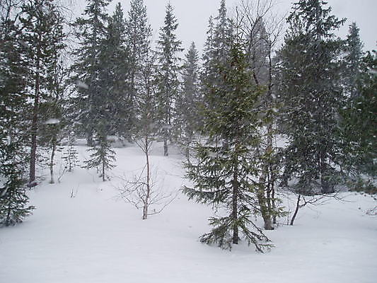 포토 JPG 해외이미지 겨울 바람 날씨 산 사람없음 추위 폭풍 나쁜 해외202004 해외포토 자연요소 계절 파일형식 이미지허브