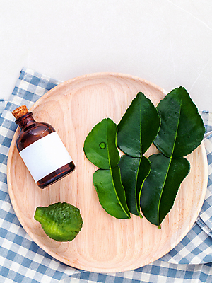 포토 JPG 해외이미지 사람없음 하이앵글 오일 허브 오브젝트 아로마 아로마테라피 나무쟁반 목업 해외202004 해외포토 식물 음식 뷰포인트 쟁반 목재 화장품 테라피 파일형식 이미지허브