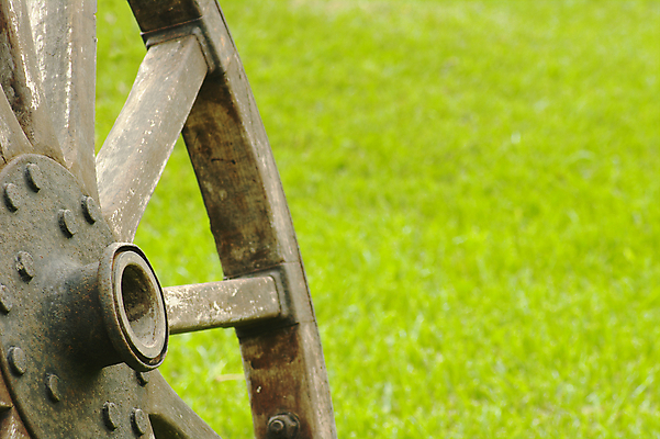 포토 JPG 해외이미지 부분 잔디 사람없음 목재 가로 초록색 금속 수확 골동품 바퀴 원형 옛날 해외202004 해외포토 도형 나무 식물 컬러 농업 재료 재질 파일형식 이미지허브