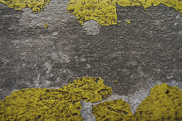 포토 JPG 해외이미지 디자인 외관 종이 벽 가구 백그라운드 컨셉 패턴 벤치 건축양식 벽지 추상 바닥 주택 사람없음 내부 건물 책 교회 주방 페인트 공백 블록 얼룩 균열 끝 정상 계산대 타일 천장 질감 날것 시멘트 패널 콘크리트 공급 해외202004 해외포토 건축물 건축 생활용품 무늬 의자 종교건축 모션 파일형식 이미지허브