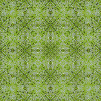 포토 JPG 해외이미지 동물 나비 곤충 백그라운드 패턴 날개 추상 사람없음 컬러풀 벌레 묘사 질감 해외202004 해외포토 컬러 무늬 파일형식 이미지허브