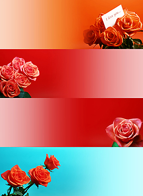 포토 JPG 해외이미지 식물 배너 기념일 꽃잎 꽃 분홍색 꽃다발 백그라운드 꽃무늬 텍스트 자연 벽지 결혼식 추상 발렌타인데이 선물 사랑 사람없음 빨간색 세트 장미 보라색 웹 봄 벚꽃 축하 신용카드 다발 수집 순수 향기 아로마 열정 초대 내추럴 카피스페이스 해외202004 해외포토 계절 감정 컬러 결혼 컨셉 무늬 인터넷 데이이벤트 이벤트 금융 공백 생태계 냄새 파일형식 이미지허브