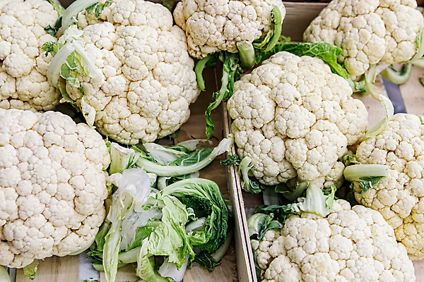 포토 JPG 해외이미지 식물 잡화 음식 백그라운드 잎 농업 다이어트 채소 재료 자연 건강 서기 사람없음 초록색 여름 쌓기 상점 봄 샐러드 흰색 신선 그룹 시장 맛 수집 먹기 유기농 질감 양배추 날것 내추럴 매각 밭일 숙성 채식주의자 비건 해외202004 해외포토 웰빙 계절 산업 컬러 컨셉 모션 생태계 채식 파일형식 이미지허브