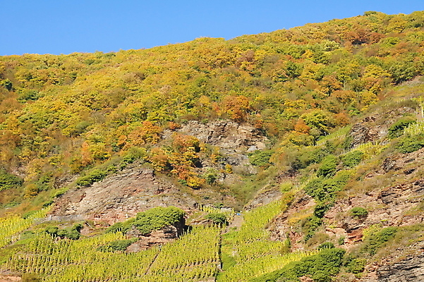 포토 JPG 해외이미지 사람없음 해외202004 해외포토 파일형식 이미지허브