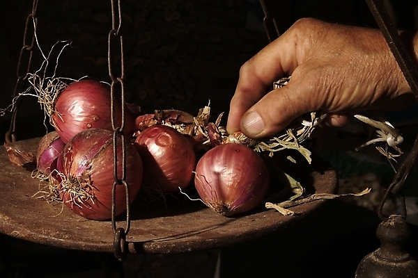포토 JPG 해외이미지 식물 음식 백그라운드 농업 채소 재료 전구 자연 양파 건조 건강 요리 사람없음 목재 빨간색 농작물 농장 마을 정원 수확 흰색 시골 신선 그룹 다발 묶기 먹기 묘사 보따리 유기농 날것 향 내추럴 밭일 숙성 채식주의자 해외202004 해외포토 나무 웰빙 산업 컬러 모션 생태계 채식 파일형식 이미지허브