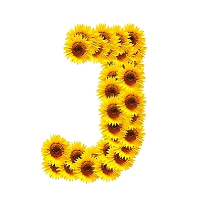 포토 JPG 해외이미지 식물 캐릭터 알파벳 꽃 백그라운드 꽃무늬 자연 해바라기 사람없음 태양 숫자 노란색 정원 맑음 봄 활발 벚꽃 흰색 개화 편지 심볼 타입 고립 스타일 해외202004 해외포토 자연요소 문자 영어 계절 컬러 컨셉 무늬 날씨 생태계 파일형식 이미지허브