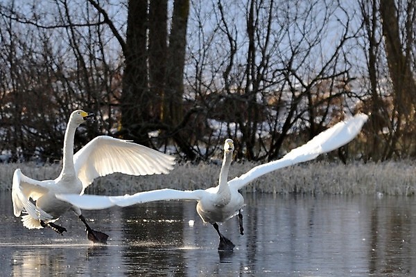 포토 JPG 해외이미지 사람없음 해외202004 해외포토 파일형식 이미지허브