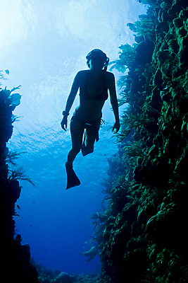 포토 JPG 해외이미지 바다 사다리 한명 보트 중앙아메리카 암초 해외202004 해외포토 1 배_교통 아메리카 사람 도구 파일형식 이미지허브