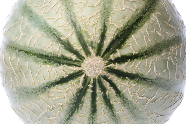 포토 JPG 해외이미지 음식 농업 다이어트 과일 자연 디저트 건강 사람없음 일본 신선 닫기 달콤 맛 멜론 고립 숙성 이국적 해외202004 해외포토 산업 아시아 컨셉 모션 생태계 파일형식 이미지허브