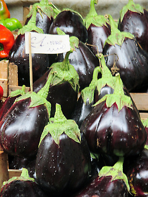 포토 JPG 해외이미지 음식 채소 가지 사람없음 보라색 신선 계란가지 해외202004 해외포토 컬러 파일형식 이미지허브