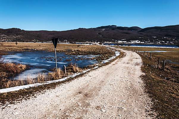 포토 JPG 해외이미지 나무 도로 여행 자연 산 풍경 사람없음 야외 초록색 이탈리아 언덕 해외202004 해외포토 식물 유럽 길 컬러 교통시설 생태계 파일형식 이미지허브
