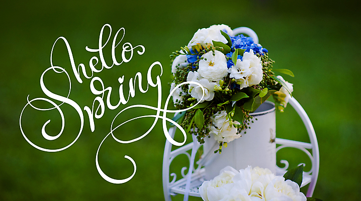 포토 JPG 해외이미지 손글씨 꽃 백그라운드 캘리그라피 사람없음 봄 해외202004 해외포토 식물 계절 파일형식 이미지허브