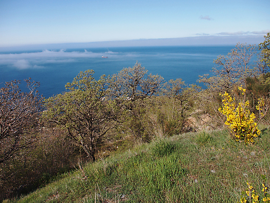 포토 JPG 해외이미지 나무 식물 구름 계절 야생동물 파도 바다 여행 자연 하늘 날씨 산 풍경 사람없음 야외 초록색 물 여름 파란색 빛 태양 여행객 침묵 봄 바위 소나무 만 언덕 휴양지 장면 침엽수 넘어짐 우크라이나 수평선 해외202004 해외포토 자연요소 동물 유럽 컬러 모션 사람 소리 장소 돌_바위 생태계 파일형식 이미지허브