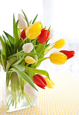 포토 JPG 해외이미지 꽃 꽃다발 부활절 발렌타인데이 선물 사람없음 장식 빨간색 컬러풀 노란색 꽃병 놀람 봄 튤립 시골 신선 생일 개화 카피스페이스 해외202004 해외포토 식물 계절 기념일 감정 컬러 데이이벤트 표정 공백 파일형식 이미지허브