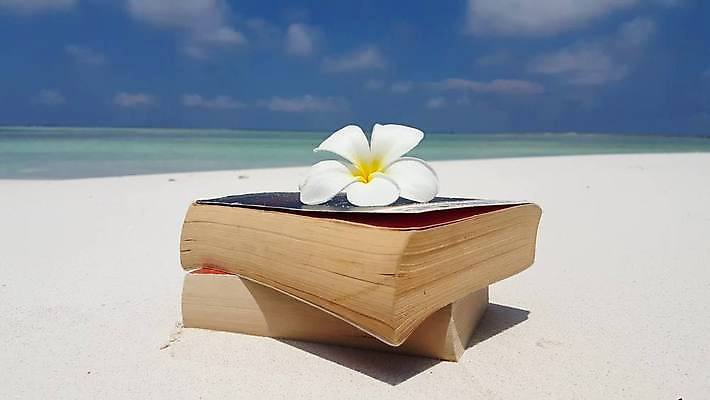 포토 JPG 해외이미지 바다 섬 백그라운드 자연 하늘 휴가 풍경 책 세명 물 여름 파란색 모래사장 독서 맑음 흰색 모래언덕 석호 몰디브 터키석 파라다이스 해외202004 해외포토 자연요소 계절 아시아 컬러 날씨 사람 보석 언덕 생태계 파일형식 이미지허브