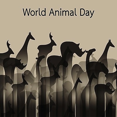 EPS 해외이미지 동물 디자인 실루엣 야생동물 일러스트 그림자 사람없음 기린 해외202004 해외일러스트 포유류 촬영기법 파일형식 벡터 이미지허브