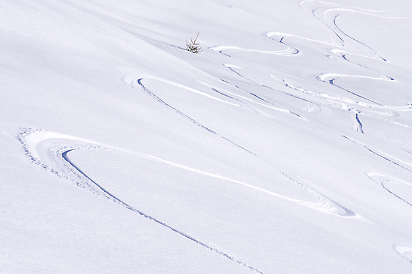포토 JPG 해외이미지 계절 유럽 길 야생동물 선 스포츠 겨울 패턴 밭 자국 자연 스키 산 건강 경사 사람없음 야외 빛 냉동 추위 흰색 신선 고리 매끈함 승차 시원함 가루 언덕 휴양지 질감 알프스 깊이 루트 무임승차 선로 자취 눈내림 해외202004 해외포토 동물 나라 컬러 무늬 농업 모션 겨울스포츠 눈_날씨 장소 감각 생태계 파일형식 이미지허브