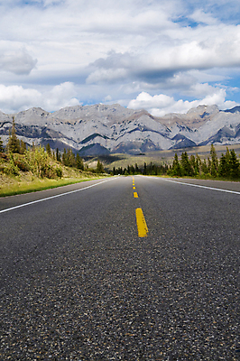 포토 JPG 해외이미지 나무 구름 계절 공원 도로 여행 백그라운드 자연 하늘 날씨 휴가 산 풍경 사람없음 야외 여름 환경 미국 소나무 숲 아스팔트 루트 전국 절정 해외202004 해외포토 자연요소 식물 공공시설 길 북아메리카 교통시설 생태계 파일형식 이미지허브
