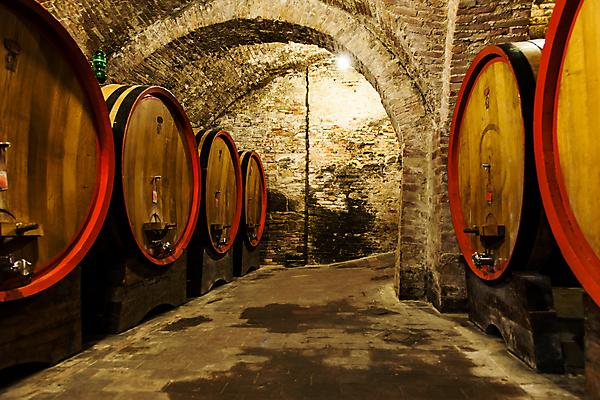 포토 JPG 해외이미지 음료 실내 통 사람없음 목재 와인 이탈리아 수확 선택 맛 상품 먼지 포도나무 수납 지하 양조장 옛날 줄서기 지하실 토스카나 해외202004 해외포토 나무 유럽 컨셉 농업 재료 모션 주류 내부 과일나무 파일형식 이미지허브