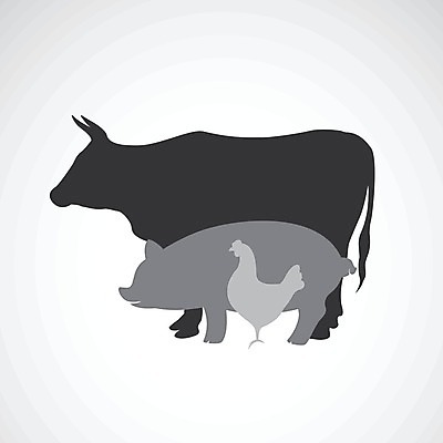 EPS 해외이미지 동물 손 디자인 실루엣 음식 일러스트 자연 육류 돼지고기 사람없음 파란색 세트 농장 라벨 검은색 치킨 가축 소고기 수확 흰색 토끼 신선 돼지 소 수집 문신 심볼 사인 그림 윤곽 배지 제비 수탉 고립 동물상 마스코트 암탉 엘리먼트 정육점 해외202004 해외일러스트 컬러 농업 식재료 포유류 조류 프레임 촬영기법 신체부위 반려동물 조형물 상점 닭 암컷 수컷 생태계 닭고기요리 파일형식 벡터 이미지허브