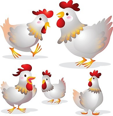 EPS 해외이미지 동물 여러마리 일러스트 조류 사람없음 귀여움 흰색 닭캐릭터 카툰스타일 수탉 암탉 해외202004 해외일러스트 컬러 동물캐릭터 다수 컨셉 닭 암컷 수컷 파일형식 벡터 이미지허브