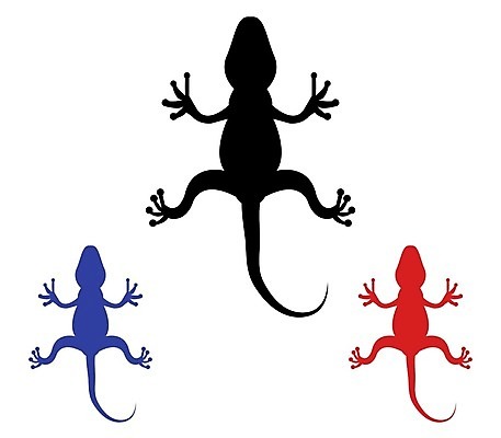 EPS 해외이미지 동물 실루엣 백그라운드 일러스트 파충류 생물 동물원 빨간색 초록색 반려동물 가시 선탠 문신 눈금 꼬리 도마뱀 브라질 선사시대 고립 아마존 양발 끈적임 해외202004 해외일러스트 컬러 촬영기법 남아메리카 역사 파일형식 벡터 이미지허브