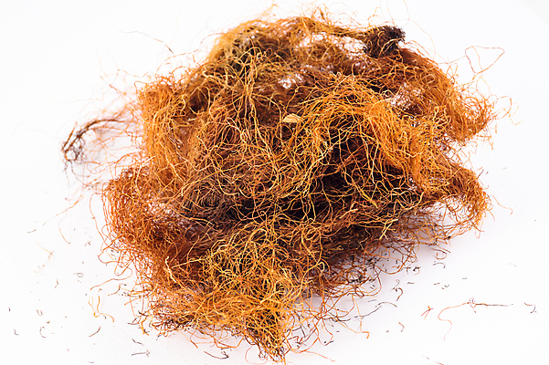 포토 JPG 해외이미지 식물 꽃잎 꽃 분홍색 백그라운드 꽃무늬 오렌지 자연 건조 건강 사람없음 야외 초록색 건강관리 정원 보라색 센터 닫기 정상 허브 묘사 유기농 원예 꽃가루 동쪽 보충 면역력 영원 치유 해외202004 해외포토 웰빙 컬러 무늬 과일 모션 관리 취미 가루 방향 생태계 파일형식 이미지허브