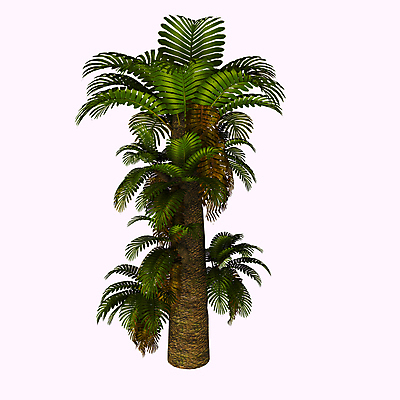 포토 JPG 해외이미지 나무 식물 1 유럽 잎 북아메리카 일러스트 자연 사람없음 초록색 3D 환경 나뭇가지 싱글 흰배경 멸종 고립 혼자 쥬라기 해외202004 해외포토 나라 컬러 백그라운드 아메리카 흰색 디지털합성 생태계 파일형식 이미지허브