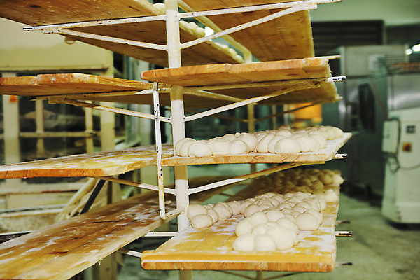 포토 JPG 해외이미지 공장 쟁반 실내 사람없음 저장 진열장 반죽 일렬 해외202004 해외포토 공업 내부 파일형식 이미지허브