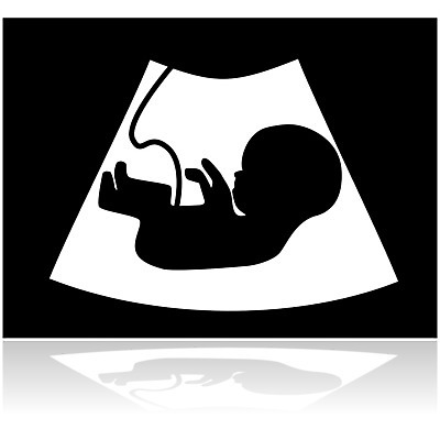 EPS 해외이미지 컨셉 신체 일러스트 엄마 아이디어 실내 병원 사람 그래픽 임신 시험 의사 성장 긴급 아기 심볼 사인 태아 개발 해외202004 해외일러스트 교육 의학 가족 내부 의료진 파일형식 벡터 이미지허브