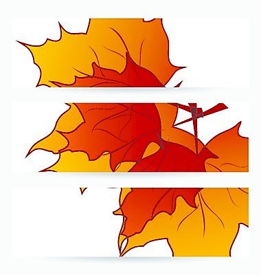 EPS 해외이미지 식물 템플릿 디자인 계절 종이 백그라운드 단풍 잎 캐나다 패턴 오렌지 일러스트 자연 추상 세트 노란색 환경 활발 젖음 수확 가을 신용카드 그룹 수집 진홍색 시트 내추럴 고립 엘리먼트 해외202004 해외일러스트 컬러 컨셉 북아메리카 무늬 농업 과일 빨간색 금융 생태계 파일형식 벡터 이미지허브