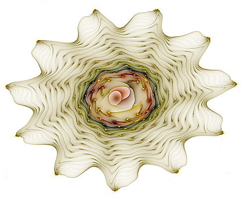 포토 JPG 해외이미지 모양 디자인 배너 포스터 선 파도 과학 백그라운드 컨셉 패턴 일러스트 모션 벽지 추상 미래 미술 사람없음 그래픽 장식 빛 컬러풀 우주 디지털 흐름 에너지 소용돌이 흰색 신용카드 우아함 묘사 질감 부드러움 공상 엘리먼트 특별함 스타일 효과 해외202004 해외포토 바다 컬러 무늬 문화예술 금융 회오리 감각 파일형식 이미지허브
