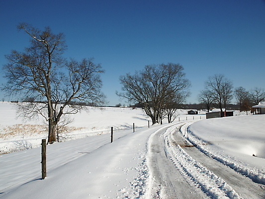포토 JPG 해외이미지 주간 나무 길 겨울 자연 사람없음 야외 겨울풍경 해외202004 눈덮임 해외포토 자연요소 식물 계절 컨셉 풍경 생태계 파일형식 이미지허브