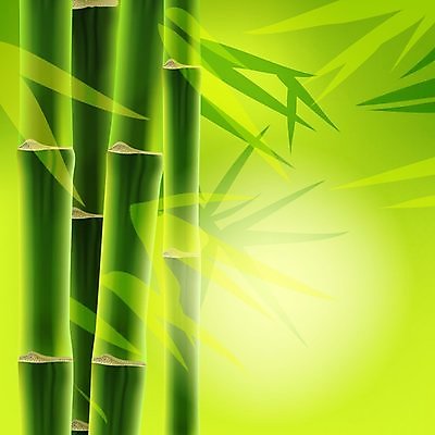 EPS 해외이미지 나무 식물 아시아 문화 선 음식 줄기 백그라운드 잎 일러스트 텍스트 자연 요리 장식 초록색 우주 환경 식당 정원 일본 스파 중국 초밥 성장 나뭇가지 용 신선 행운 이슬 먹기 대나무 메뉴 원예 동쪽 내추럴 생태학 세련 해외202004 해외일러스트 교육 나라 컬러 컨셉 모션 취미 상점 방향 생태계 일본음식 파일형식 벡터 이미지허브