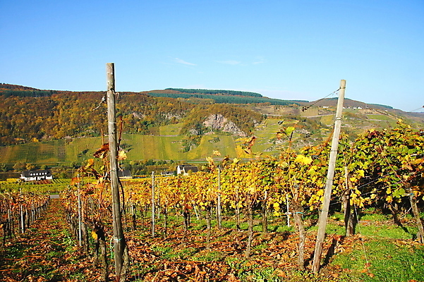 포토 JPG 해외이미지 사람없음 해외202004 해외포토 파일형식 이미지허브