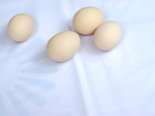 포토 JPG 해외이미지 음식 밥 마늘 사람없음 계란 계량기 해외202004 해외포토 채소 알 파일형식 이미지허브